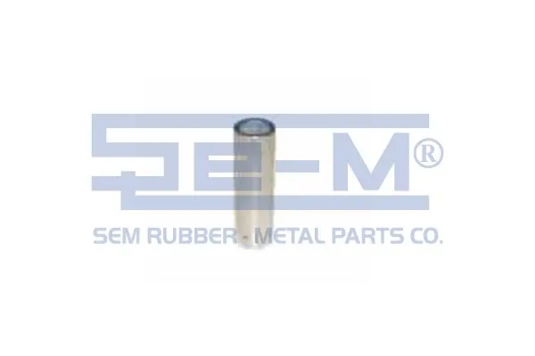 Bushing, leaf spring